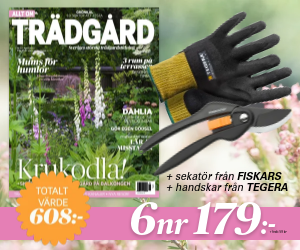 6 nr av Allt om Trädgård för endast 179 kr + sekatör från Fiskars + handskar från Tegera Återbäring