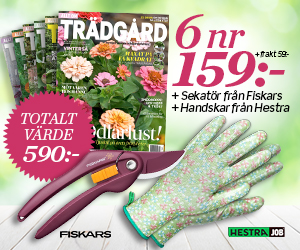 Tidningspremie: Sekatör + handskar vid köp av 6 nr Allt om Trädgård