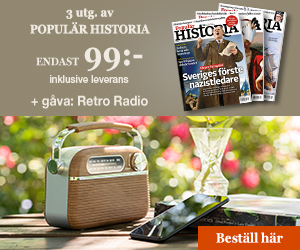 Populär Historia + Retro FM-radio med bluetooth Återbäring